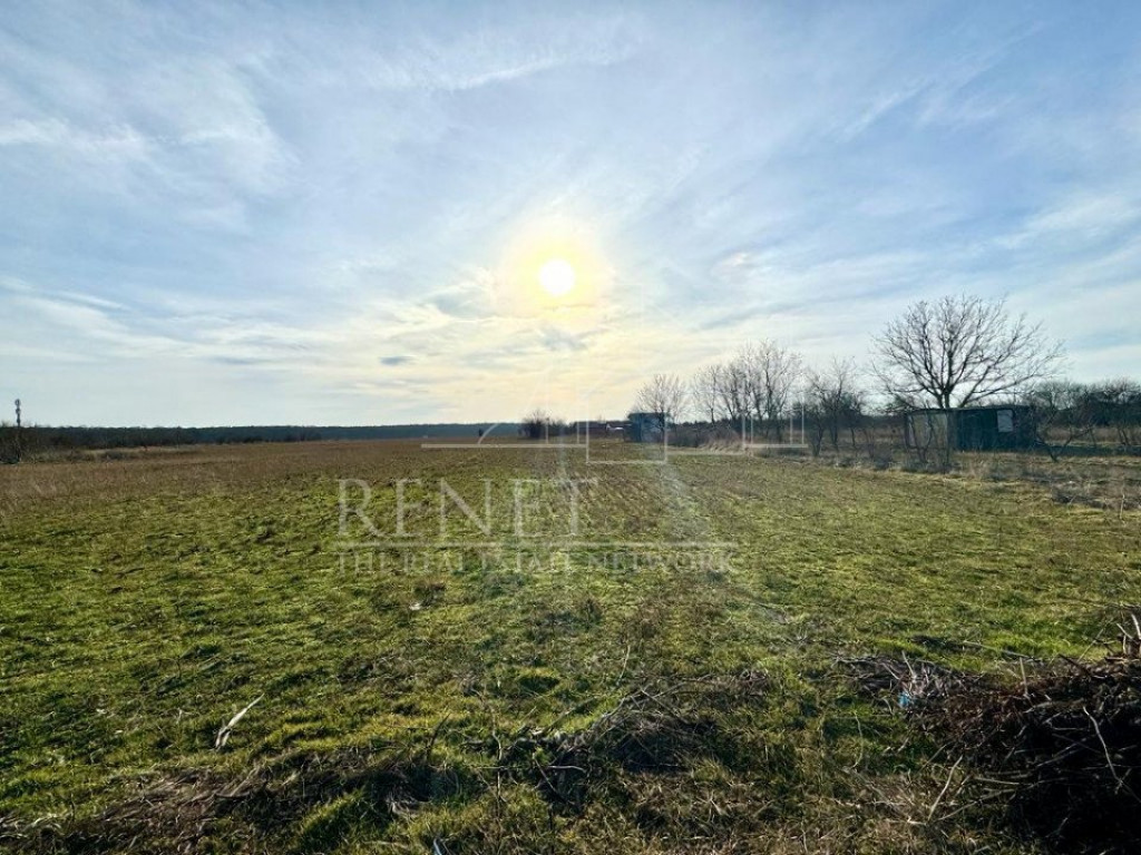 Teren intravilan | 2581 mp | Ganeasa