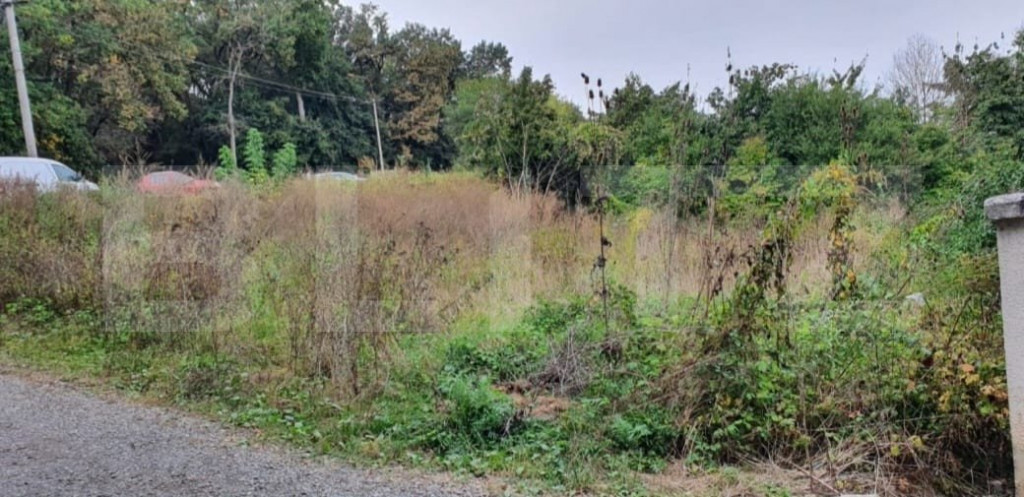 Teren 5 ari in Tg Mures