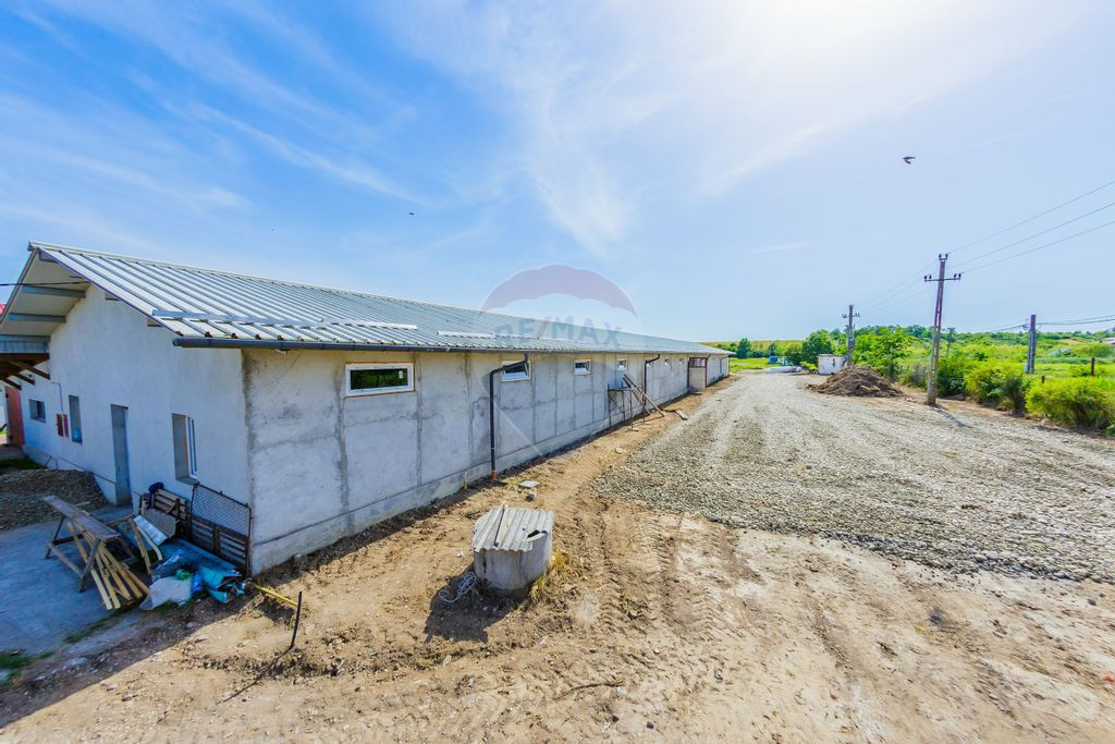 Va oferim spre închiriere 2 hale cu sup de 700mp utili i...