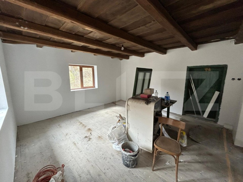 Casa 2 camere, foisor , teren 5900mp ,Vad