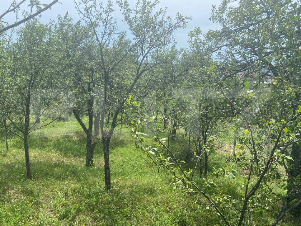 Teren intravilan 2774 mp, zona Dobrogeanu Gherea