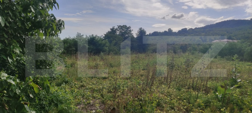 Teren intravilan cu dublu front stradal in Podgoria