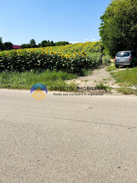 TEREN intravilan comuna STEFAN CEL MARE - GHIGOIESTI