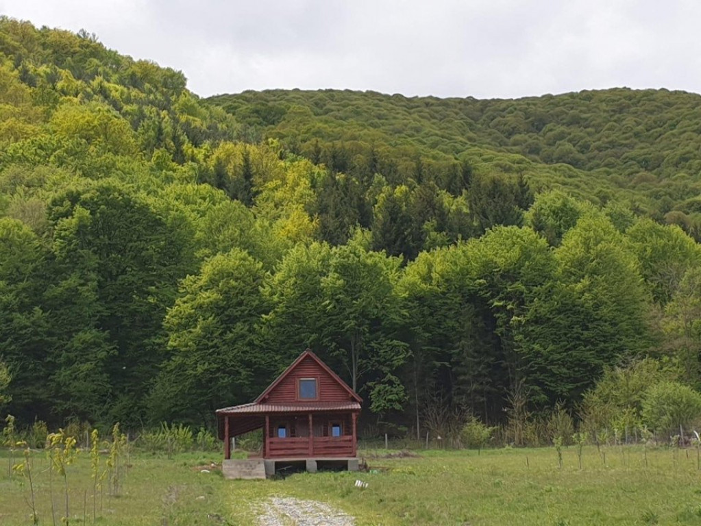 Teren extravilan in Orlat