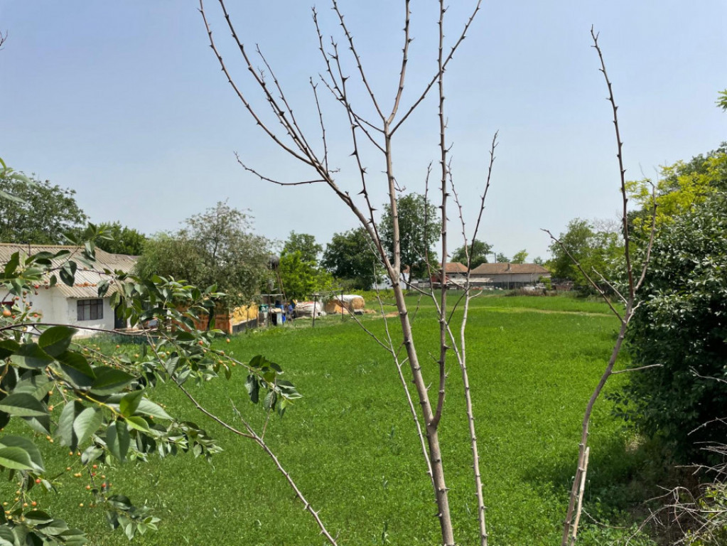 Casă situată in MIHAIL KOGALNICEANU