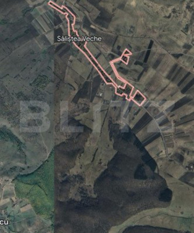 Teren extravilan, 6000mp, Salistea Veche cu CF, cu acces la