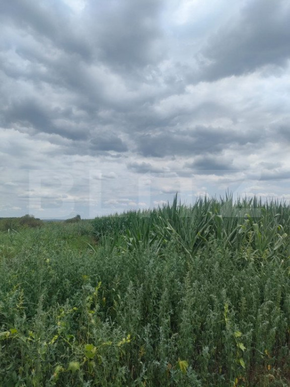 Teren extravilan, 2000mp, zona Redi, Horodnic de Sus