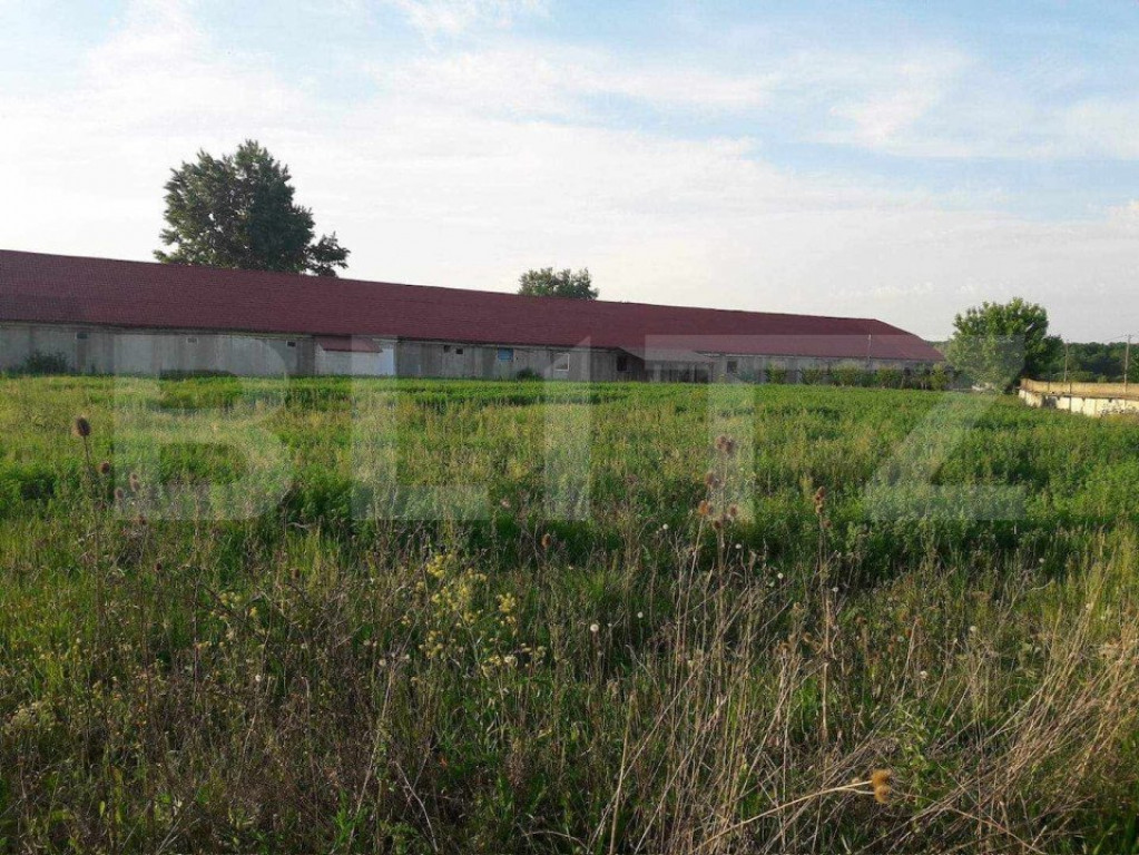 De inchiriat Hala industriala ,1200mp , langa Botiz