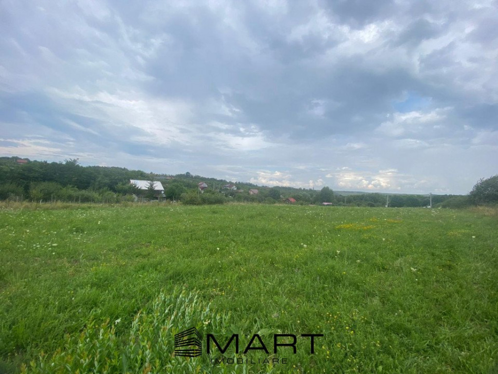 Teren 8000mp Daia noua