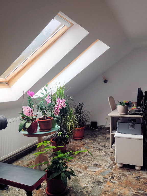 Busteni-Apartament cu trei camere