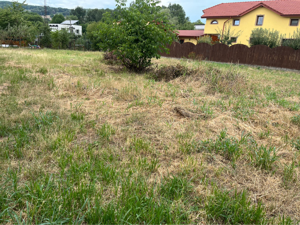 Teren intravilan 800 m Patriarh Iustinian Marina