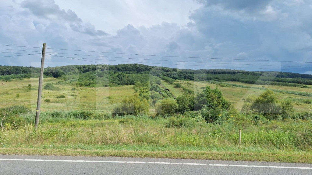 Teren entravilan 10000 mp in localitatea Hereclean