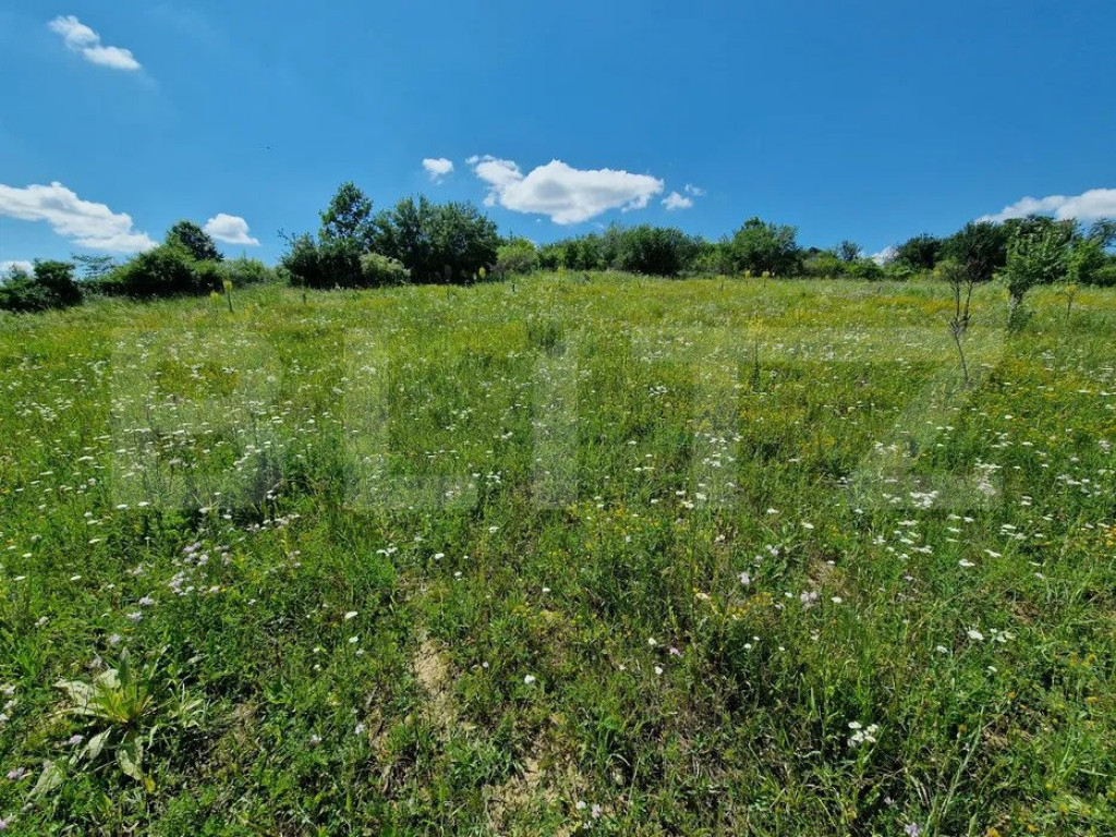 Teren intravilan 780mp Barnova Iasi