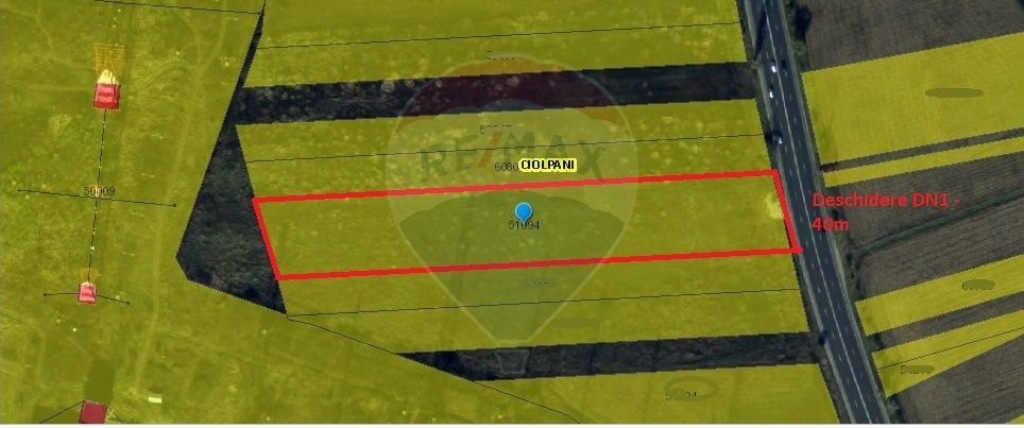 Teren 10,000mp Ciolpani / DN 1