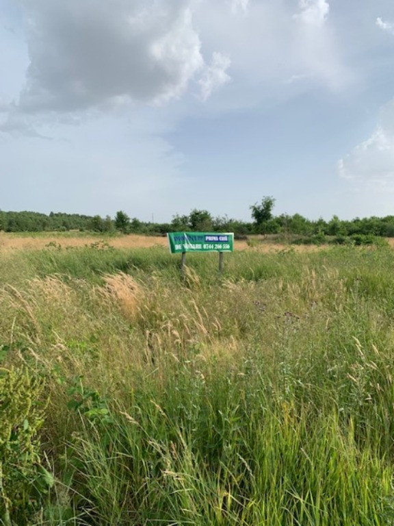 TEREN DUMBRAVEI Loturi a cate 635mp+ cota drum!