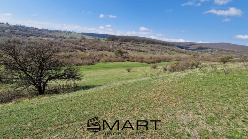 Teren extravilan 16420 mp | Sibiu - Daia