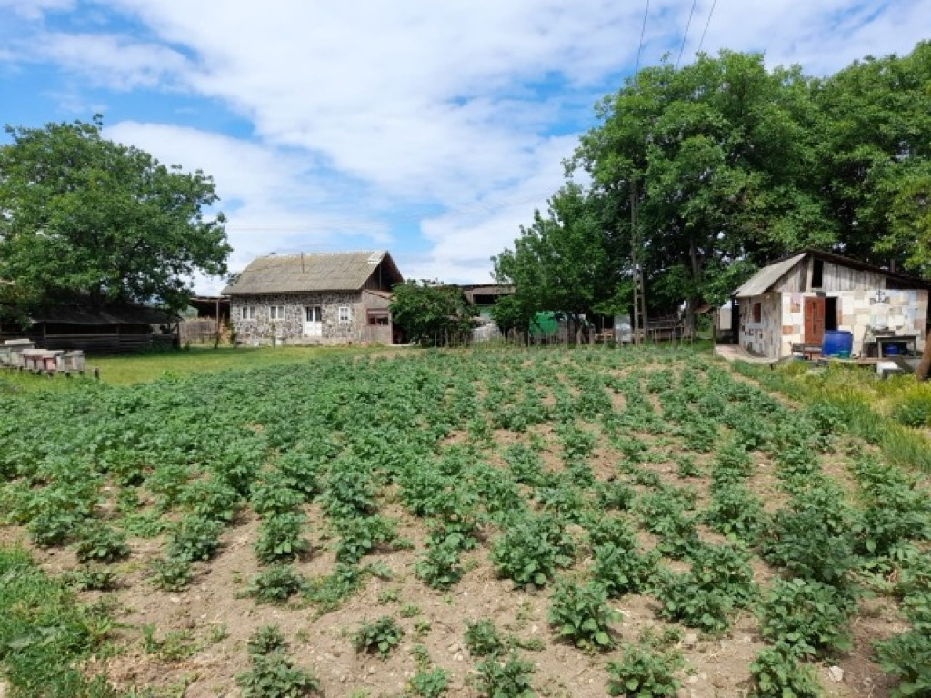 Ferma 6 ha Adjud, curent trifazic,2 bazine de apa, 98000euro