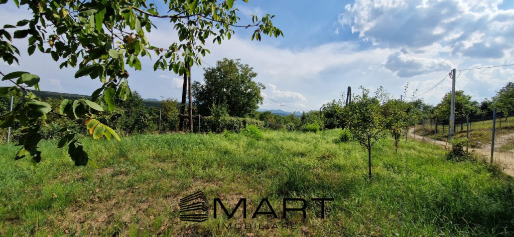 Teren intravilan 595 mp Tropinii Noi