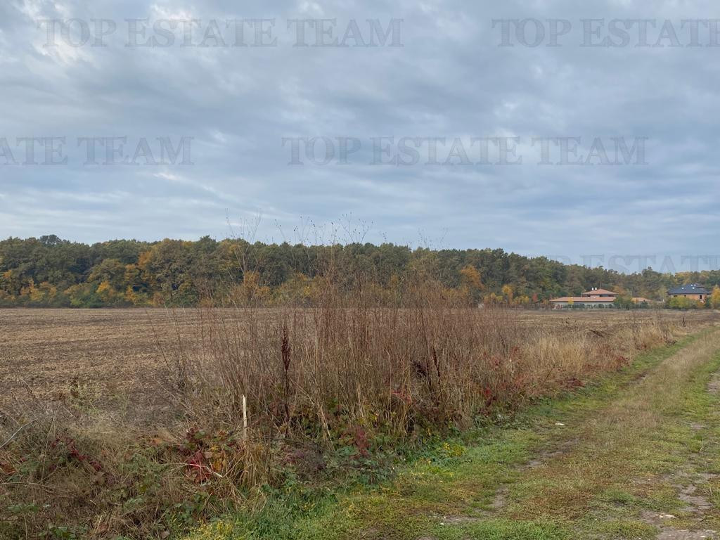 Teren cu deschidere la padure