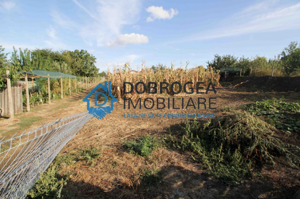 Mineri, terenuri, 957-1882 mp