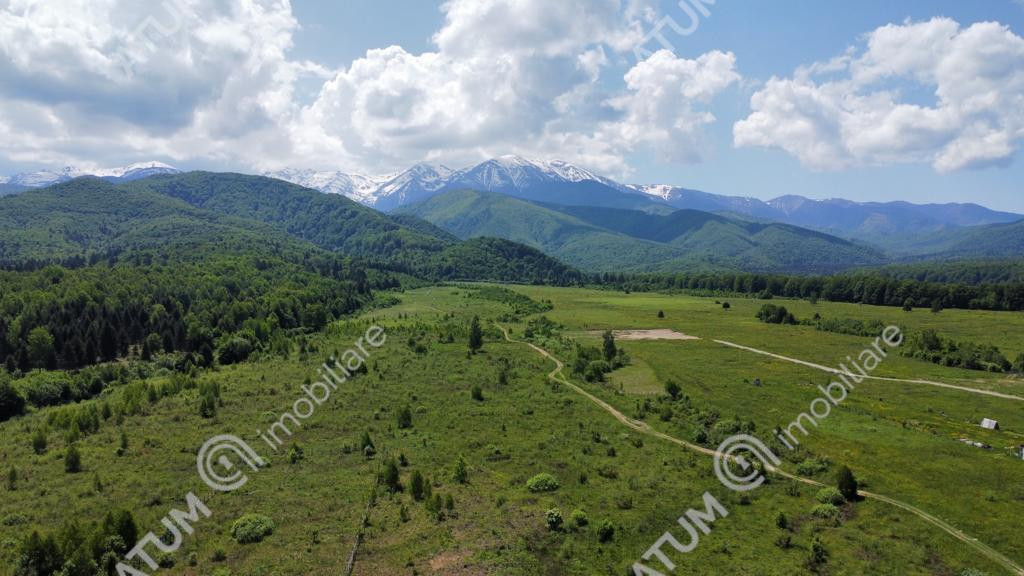 Teren extravilan 8400 mp de pe Valea Avrigului