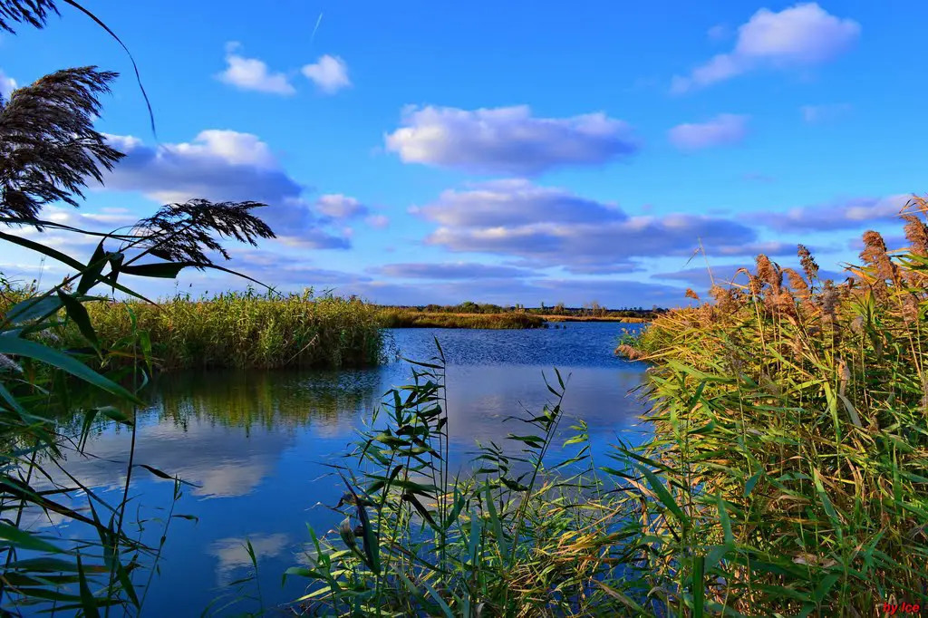 Teren 5000 mp, in SATURN, MANGALIA, pe malul lacului (Balta
