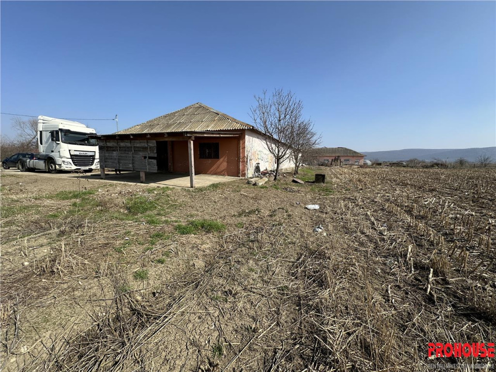 Letea Veche - Radomiresti - Hala 409 - teren 4.650mp