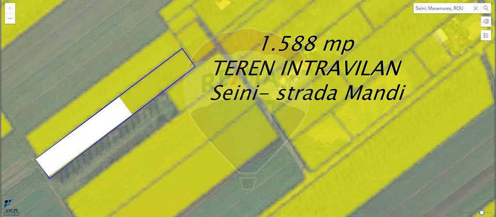 Teren 1,588mp Seini / Strada Mandi