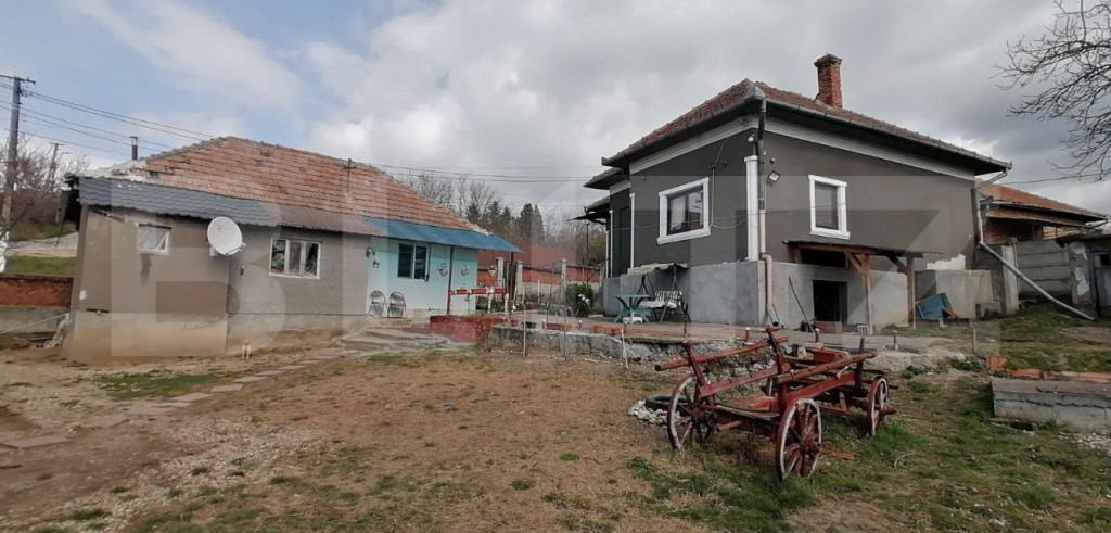 Casa doua corpuri 110 mp 4830 mp teren in Capud