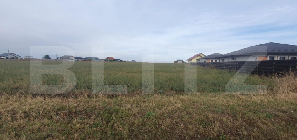 Teren intravilan, 15000mp, D+P+1+2, Vorovesti