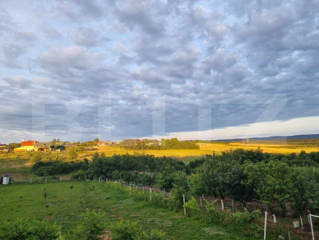 Casa/Vila de vanzare / posibil Pensiune ,cu view și pădur