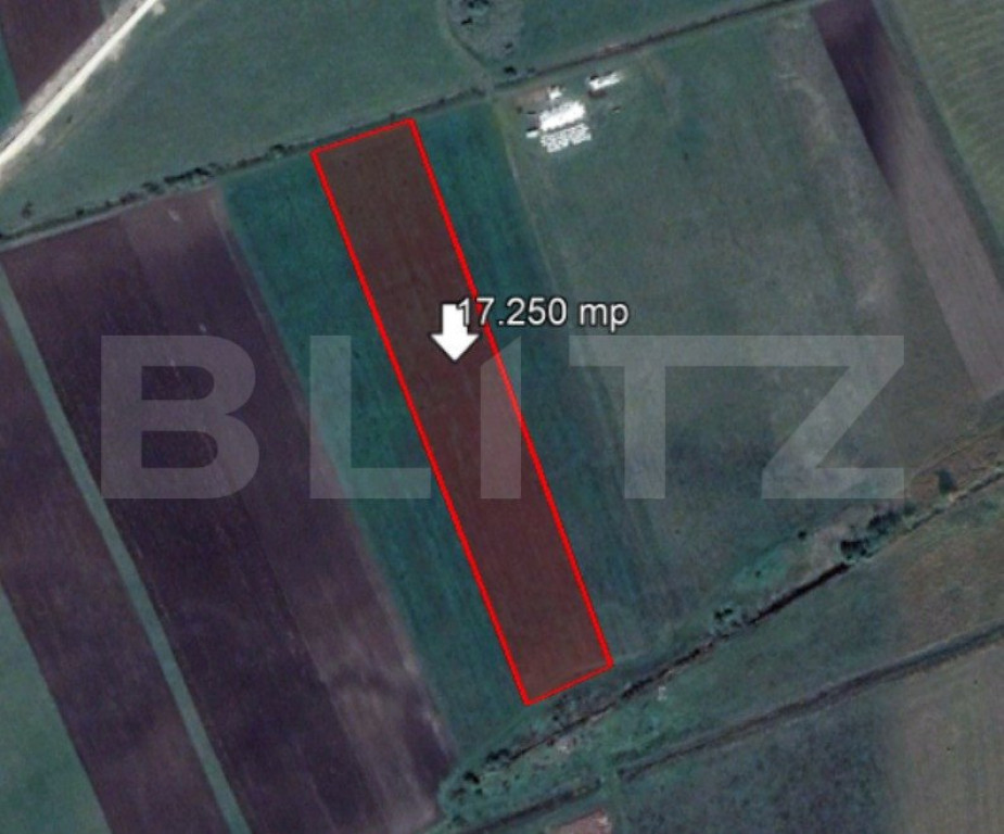 Teren de 17250 mp, Stupini