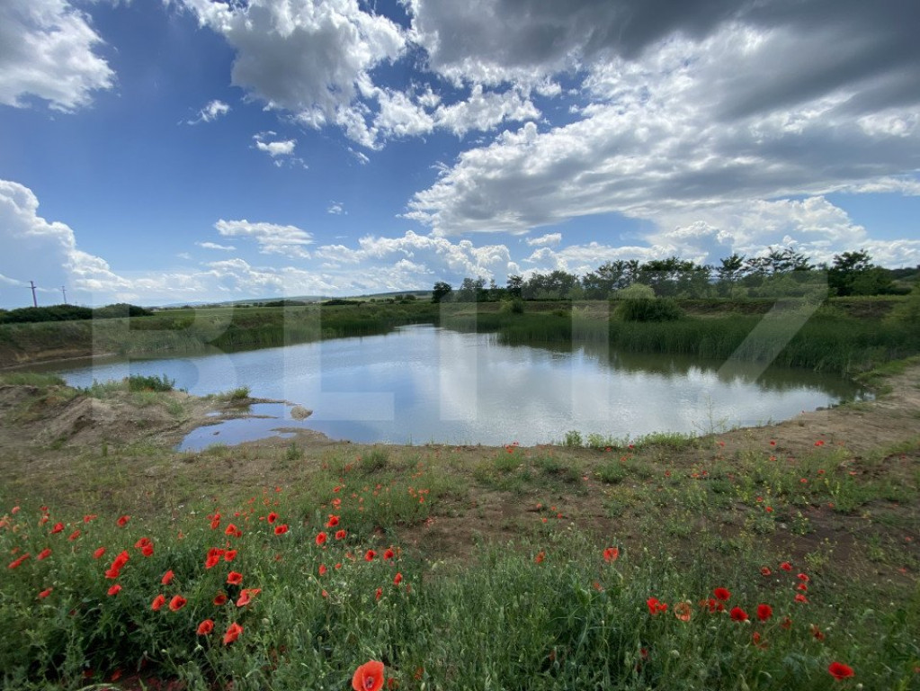 Teren extravilan 10000 mp, cu balta de peste, Salaj, Sarmasa
