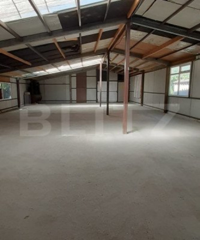 Hala 389 mp Sascut Centru