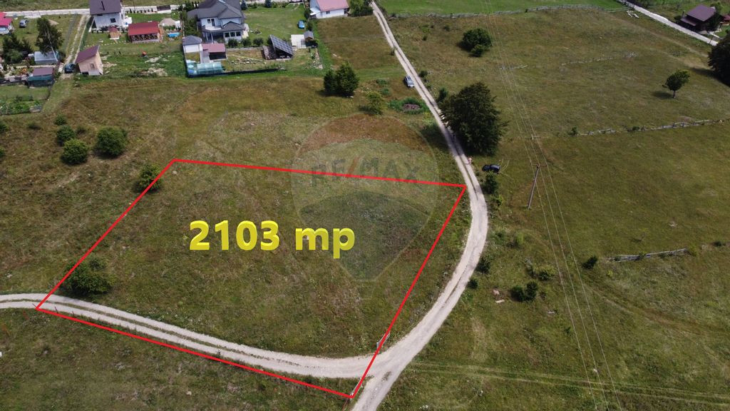 Teren 2,103mp Lepsa / Strada Zimbrului
