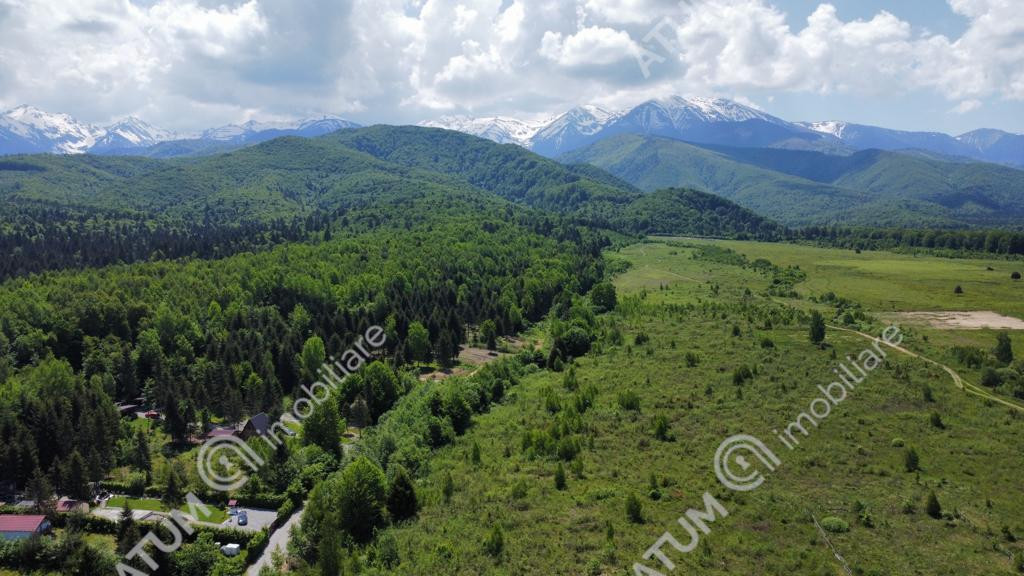 Teren intravilan 1000 mp de pe Valea Avriguluiu