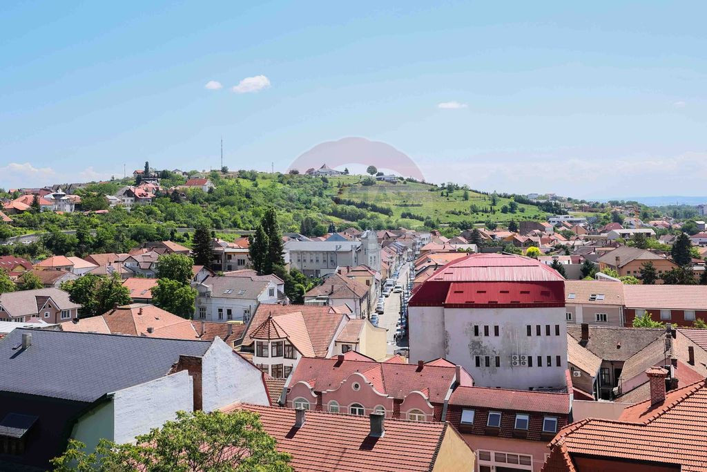 De Vânzare: Apartament Ultracentral cu 4 Camere pe Bulev...