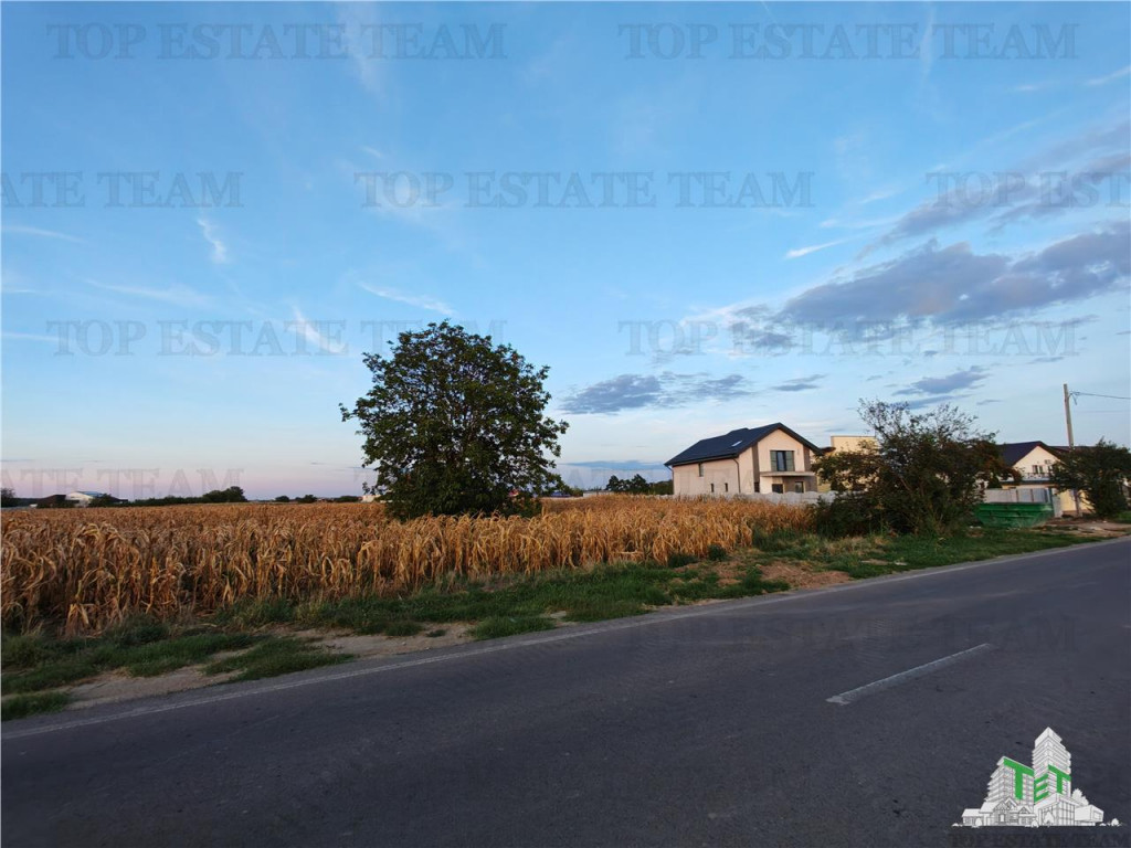 Teren intravilan pentru constructii stradal, 2965 mp, cu toa