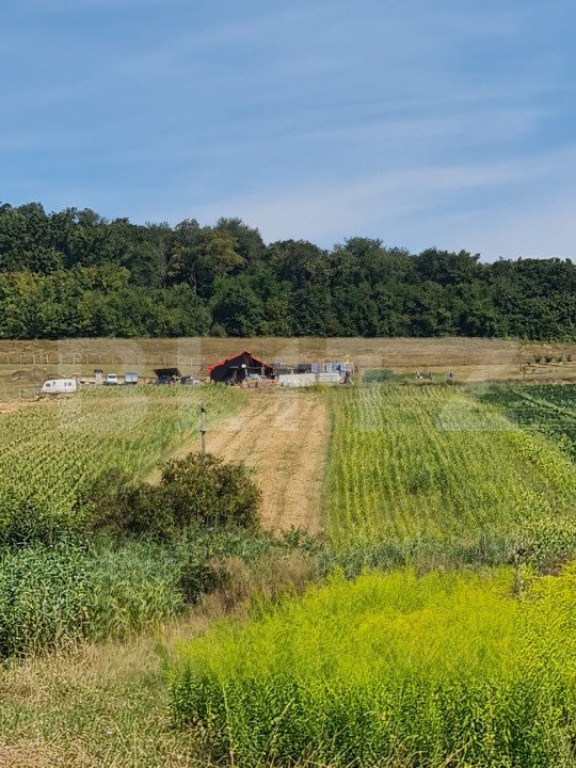 Teren agricol extravilan 60 ari Bardesti