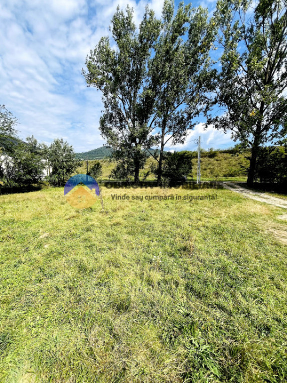 TEREN intravilan ALEXANDRU cel BUN judetul NEAMȚ