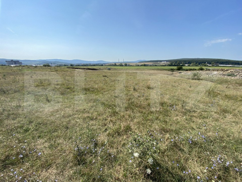 Teren extravilan Criseni, 3800 mp