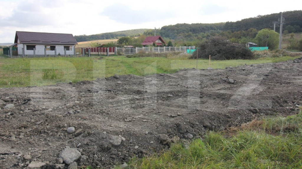 Teren Livezeni 8 ari