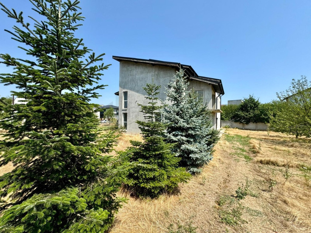 Vila multifuncionala de Mogosoaia