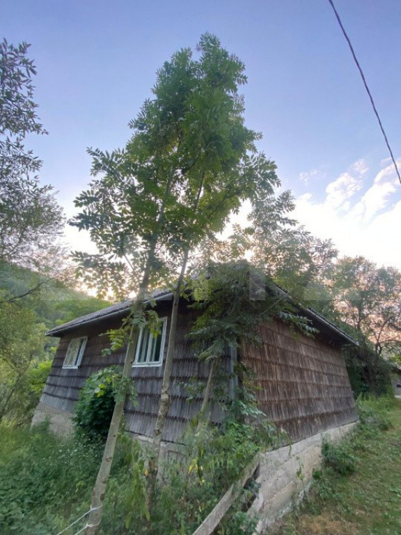 Casa batraneasca, Albac, peisaj superb