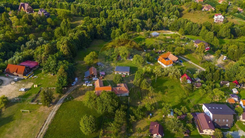 Casă 4 camere, 7000 mp teren, garaj si hala curent trifa...