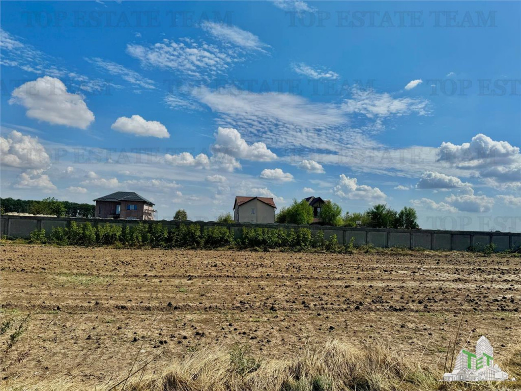 Teren de lotizat la padure cu utilitati in Frumusani / Cala