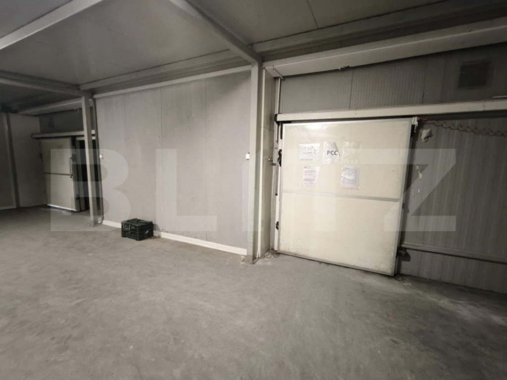 Spații de depozitare frigorifica si refrigerare, zona Viito