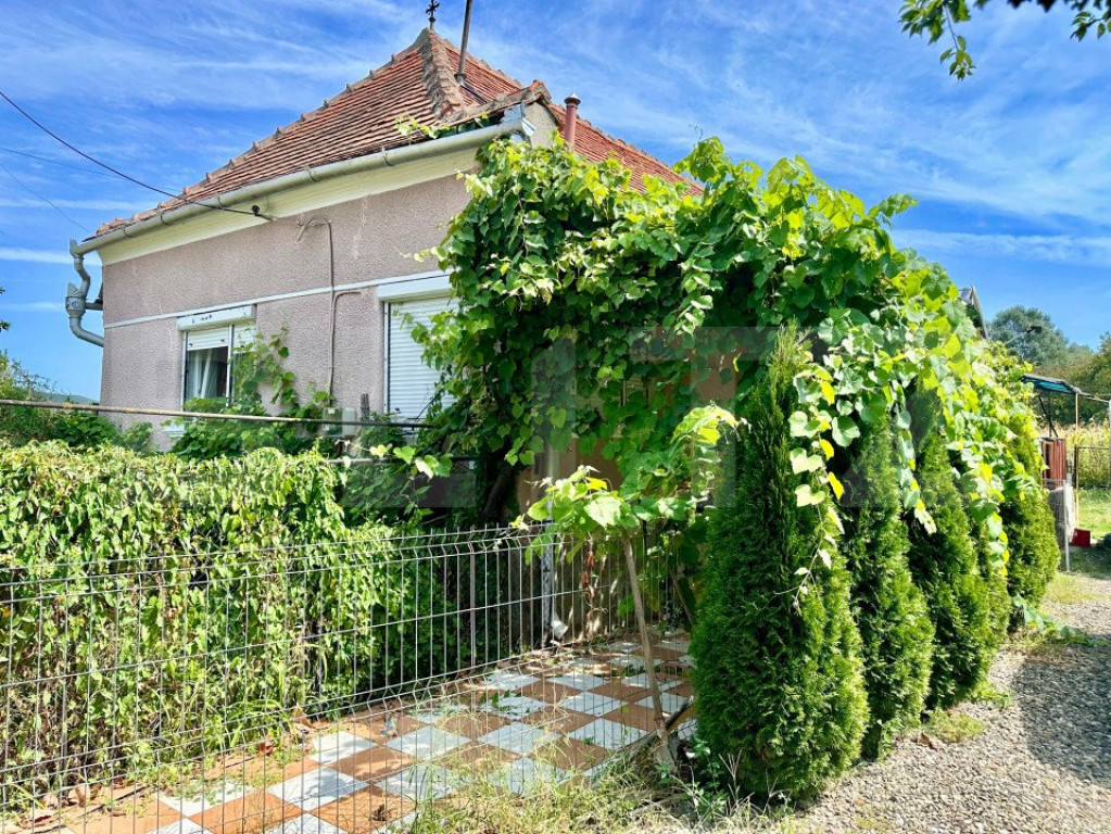 Casa individuala cu teren 2000 mp, Vintu de Jos