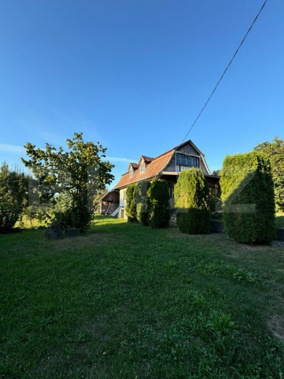 Casa in Aluniș, 10.000 mp de teren, cu vie si livada, veder
