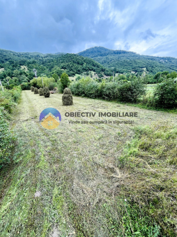 TEREN intravilan TARCǍU - STRAJA judetul NEAMȚ